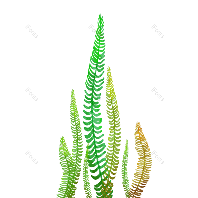植物素材图片,水草元素,绿色PNG,绿色植物免抠素材
